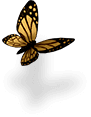 Radgost Butterfly